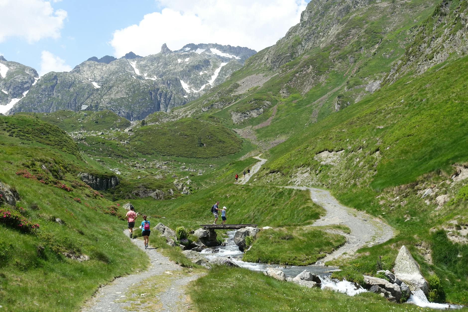 Rodzina wędruje latem po alpeckim szlaku w austriackich górach