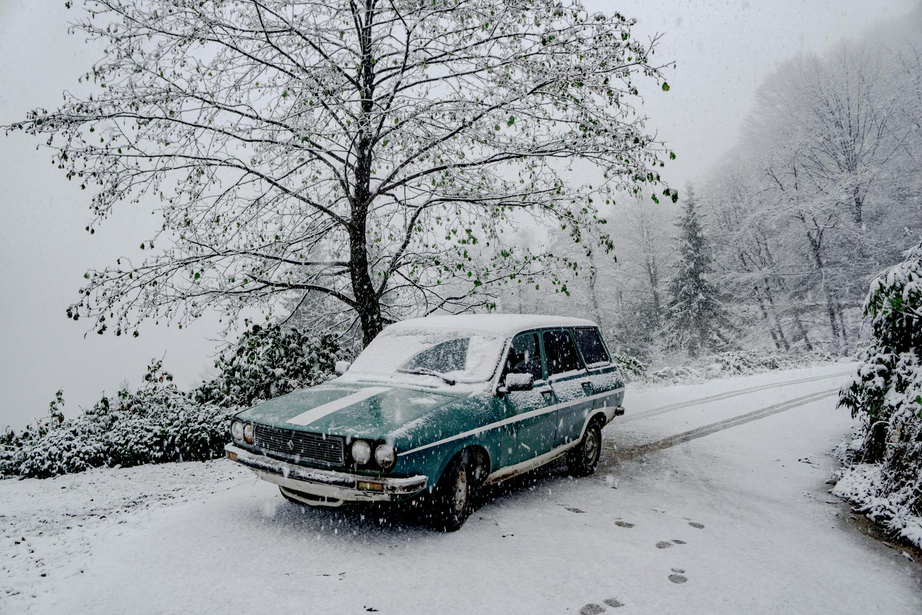 Subaru na ośnieżonej leśnej drodze zimą